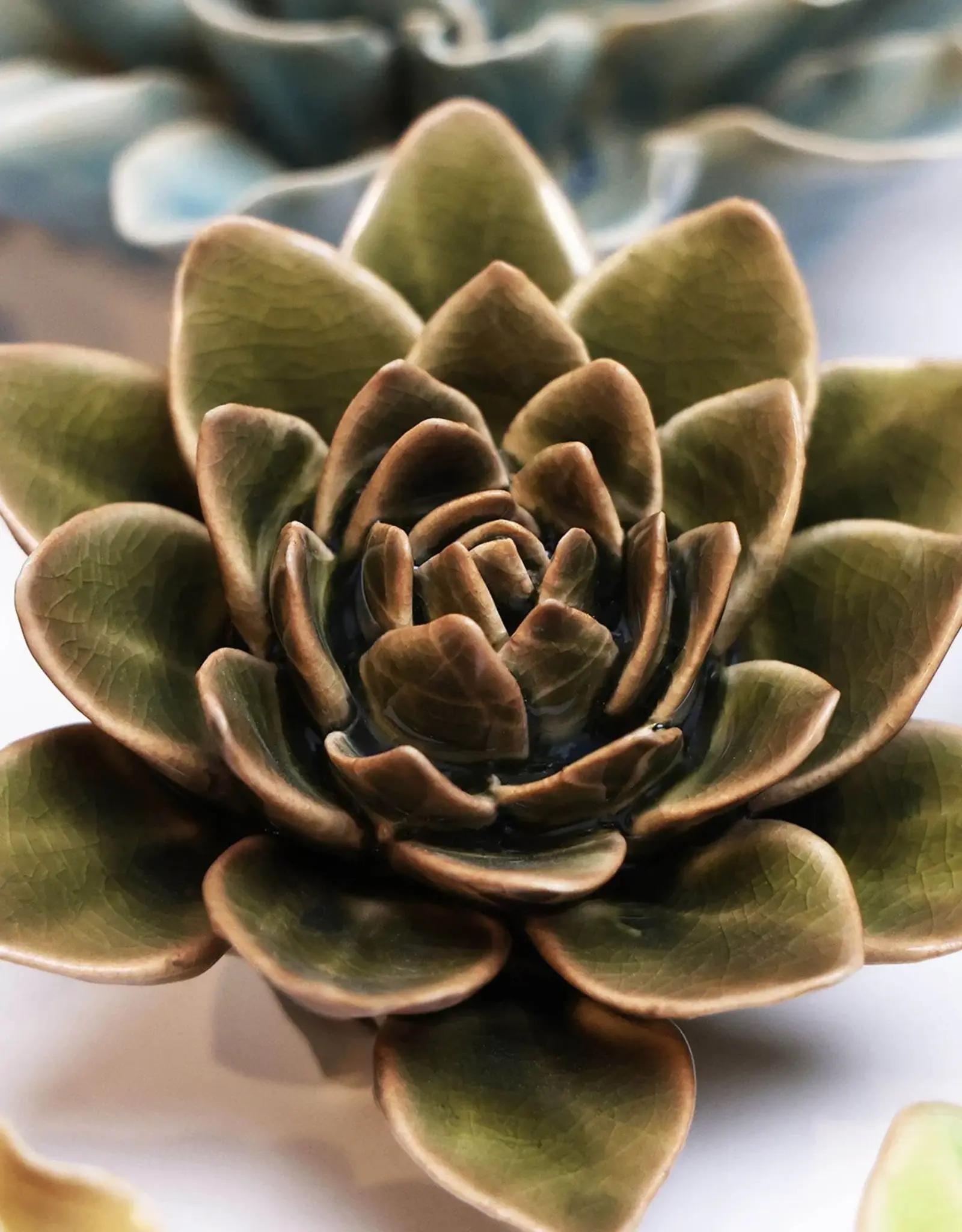 Chive Ceramic Flower Olive Green Echivera EG01