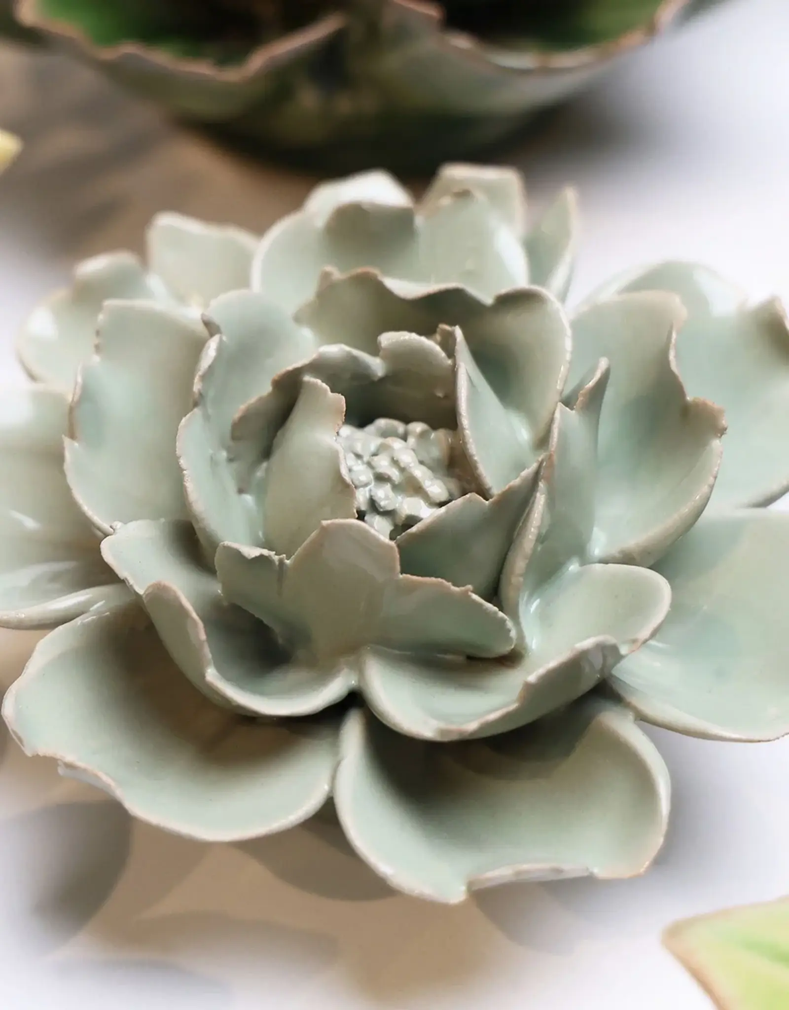 Chive Ceramic Flower Pistachio Rose EG09