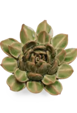 Chive Ceramic Flower Avocado Green Succulent EG12