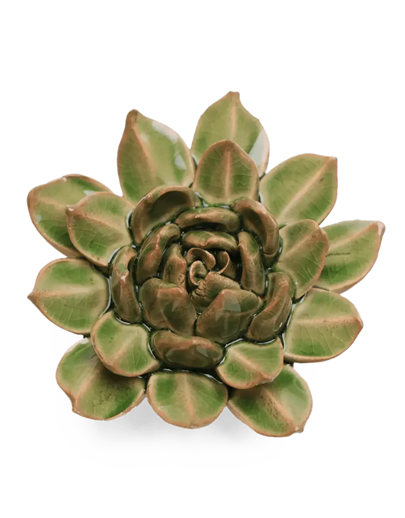 Chive Ceramic Flower Avocado Green Succulent EG12