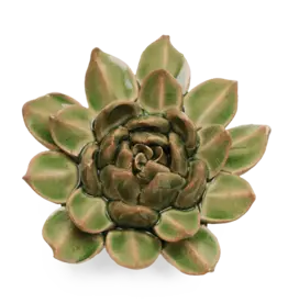 Chive Ceramic Flower Avocado Green Succulent EG12