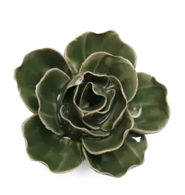Chive Ceramic Flowers Fir Green Ranunculus EG03