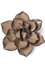 Chive Ceramic Flower Latte Daffodil JA18