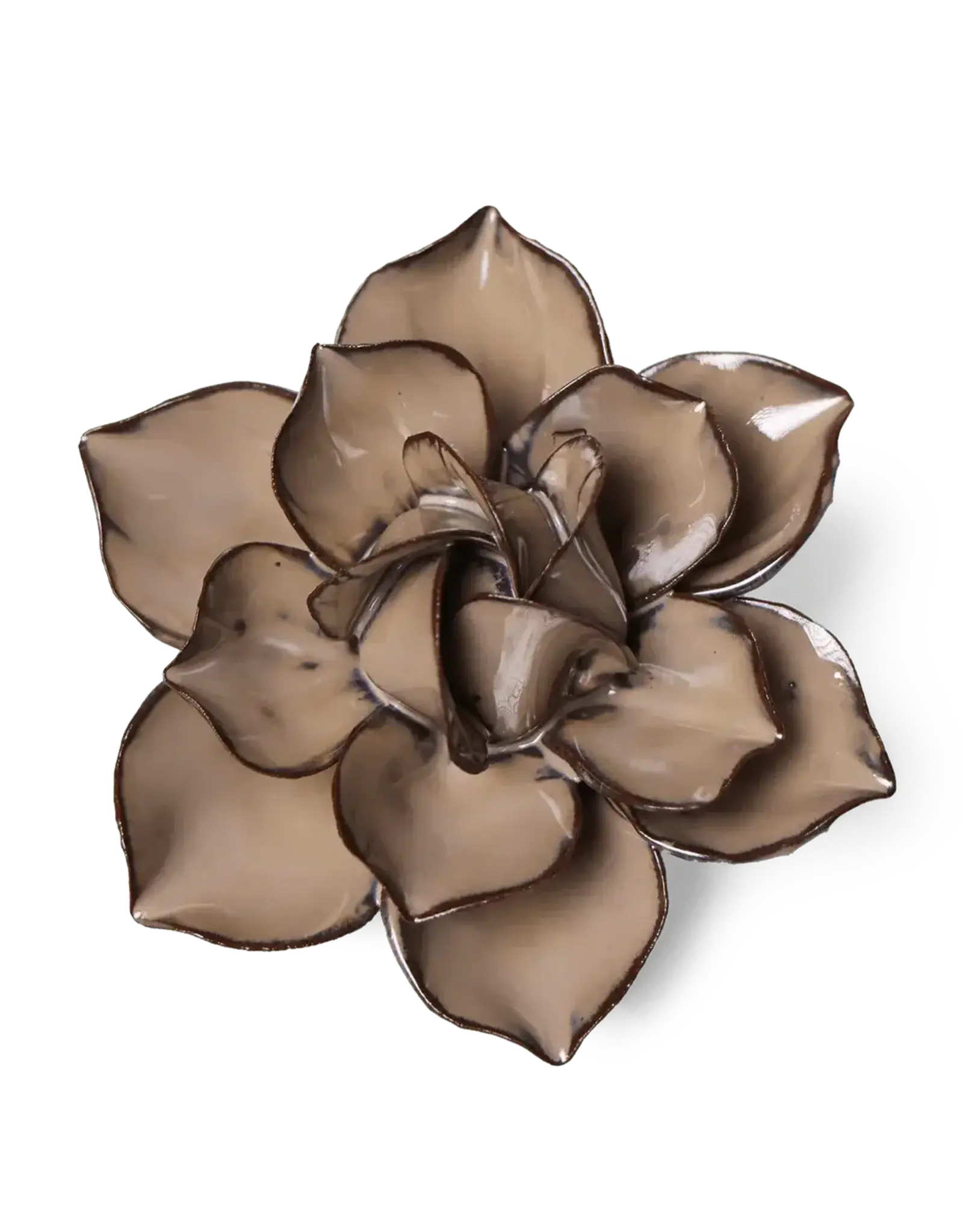 Chive Ceramic Flower Latte Daffodil JA18