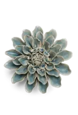 Chive Powder Blue Dahlia EG17