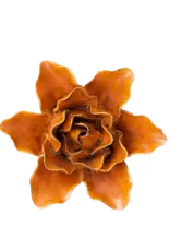 Chive Ceramic Flower Burnt Orange Lilly FR13