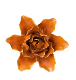 Chive Ceramic Flower Burnt Orange Lilly FR13