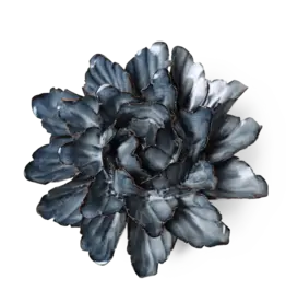 Chive Ceramic Flowers Navy Peony Ja12