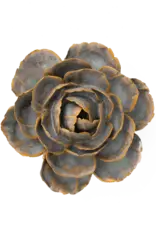 Chive Ceramic Flowers  Pale Blue Rose FR05