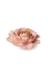 Chive Ceramic Flowers Rose Pink Camellia FR01
