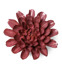 Chive Ceramic Flowers blush Pink Dahlia Ja17
