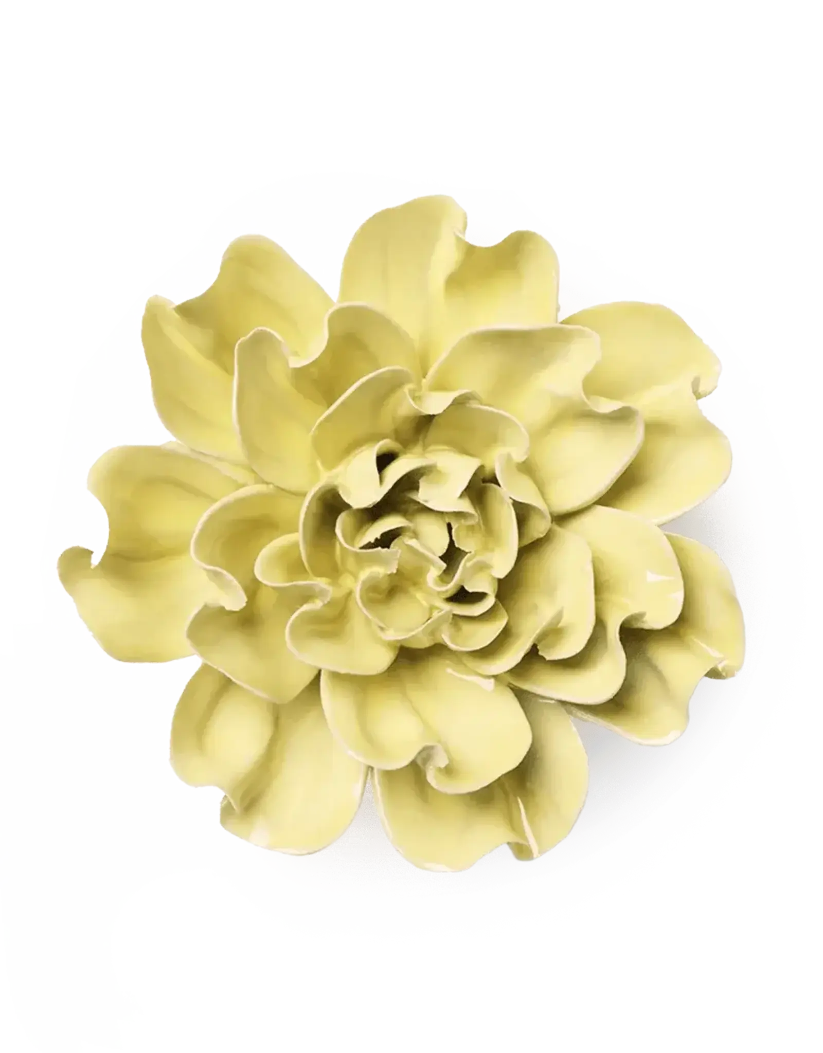 Chive Ceramic Flower Lime Yellow Larkspur EG26