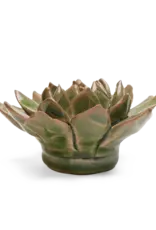 Chive Ceramic Flower Avocado Green Succulent EG12