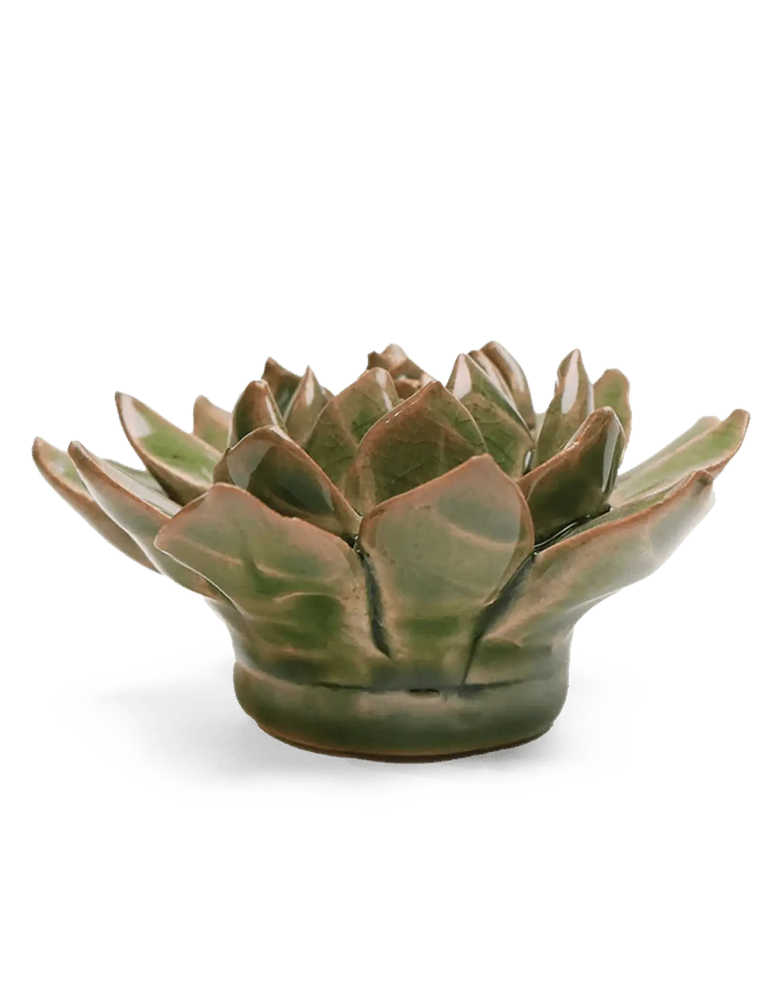 Chive Ceramic Flower Avocado Green Succulent EG12
