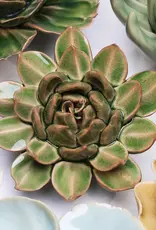 Chive Ceramic Flower Avocado Green Succulent EG12