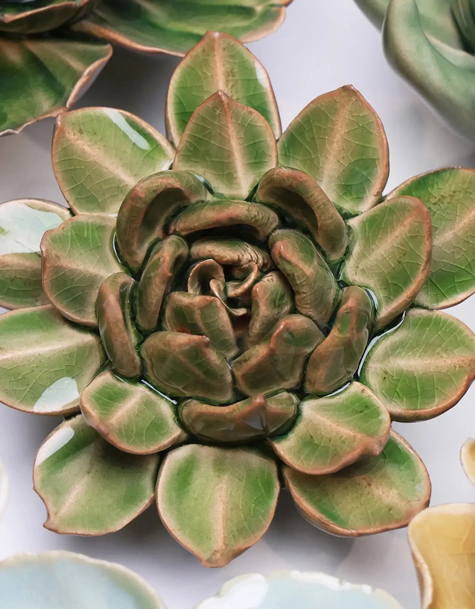Chive Ceramic Flower Avocado Green Succulent EG12