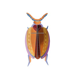 Studio Roof Studio ROOF cuprum beetle
