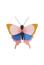 Studio Roof Studio ROOF gold rim butterfly