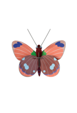 Studio Roof Studio ROOF delias butterfly