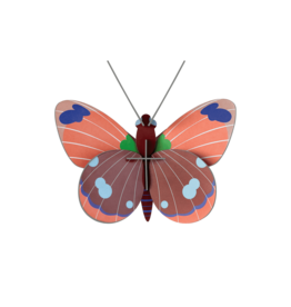 Studio Roof Studio ROOF delias butterfly