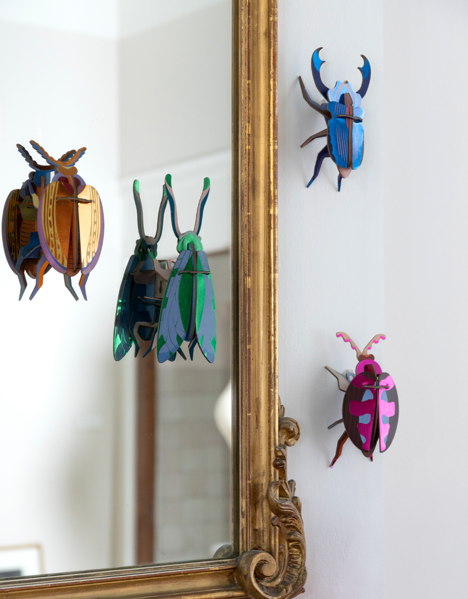 Studio Roof Studio ROOF lumen pink beetle