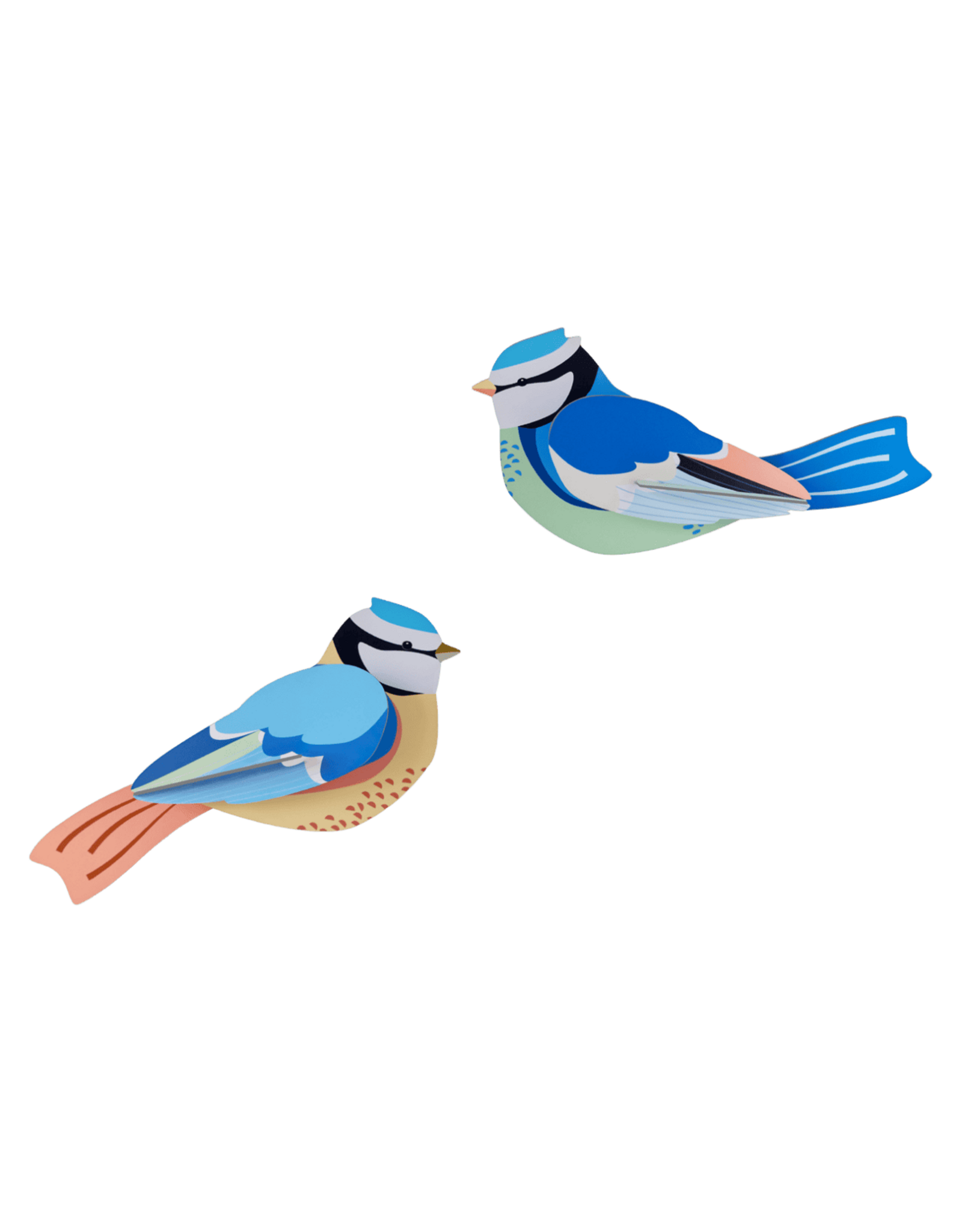Studio Roof Studio ROOF blue tits