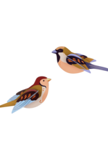 Studio Roof Studio ROOF sparrows