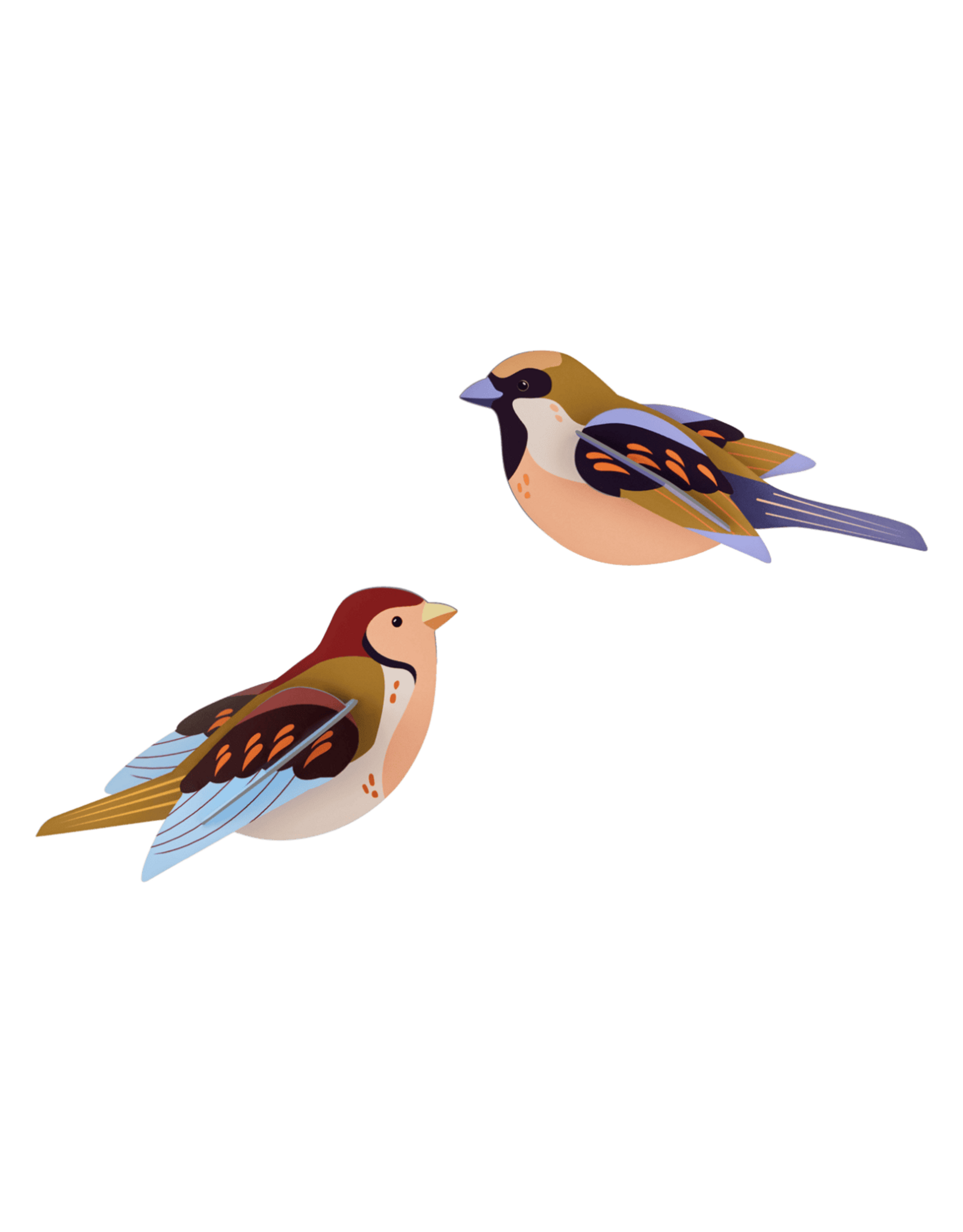Studio Roof Studio ROOF sparrows