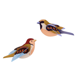 Studio Roof Studio ROOF sparrows