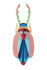 Studio Roof Studio ROOF imperial beetle