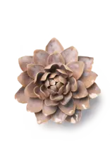 Chive Ceramic Flower Pink Sand Starlit Water Lily FR21
