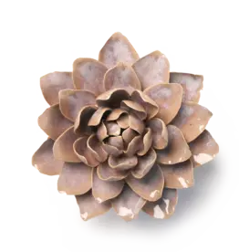 Chive Ceramic Flower Pink Sand Starlit Water Lily FR21