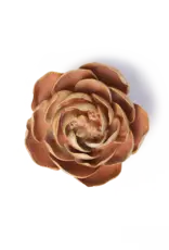 Chive Ceramic Flower Peach Pink Big Ben Peony FR22