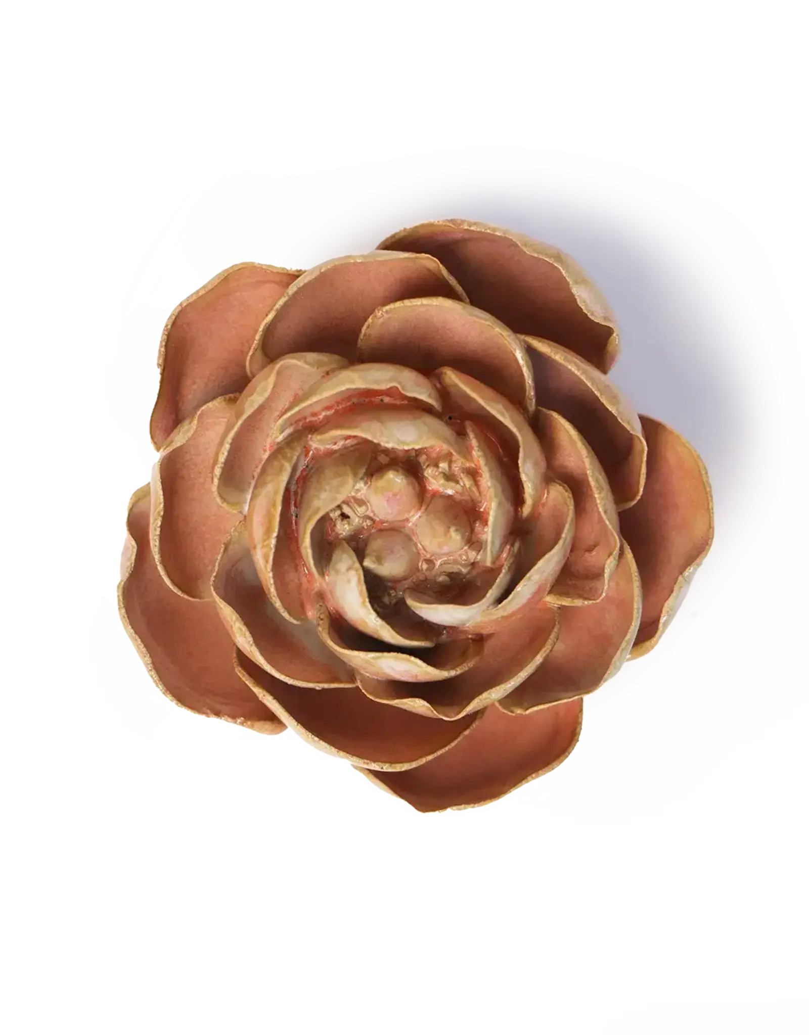 Chive Ceramic Flower Peach Pink Big Ben Peony FR22