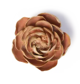 Chive Ceramic Flower Peach Pink Big Ben Peony FR22
