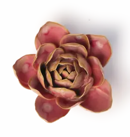 Chive Ceramic Flower Rose Quartz Pink Narcissus FR28
