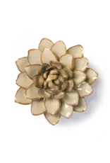 Chive Ceramic Flower Oatmeal Starbrite Water Lily FR23