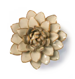 Chive Ceramic Flower Oatmeal Starbrite Water Lily FR23