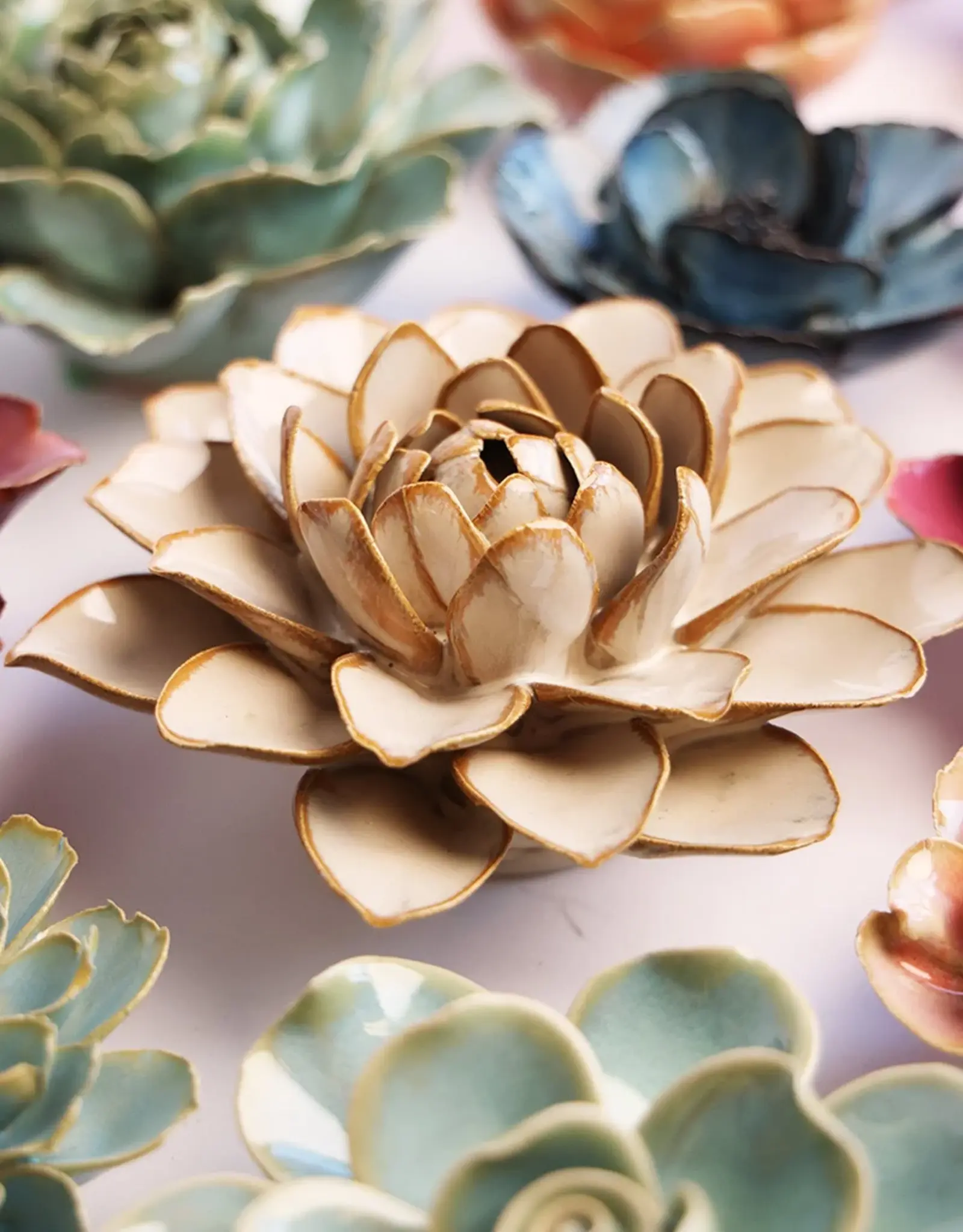 Chive Ceramic Flower Oatmeal Starbrite Water Lily FR23