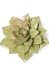 Chive Ceramic Flower Peridot Green Fairy Echeveria EG10