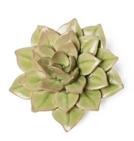 Chive Ceramic Flower Peridot Green Fairy Echeveria EG10