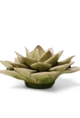Chive Ceramic Flower Peridot Green Fairy Echeveria EG10