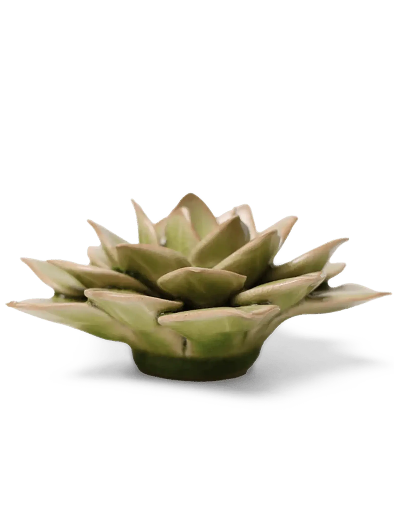 Chive Ceramic Flower Peridot Green Fairy Echeveria EG10