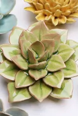 Chive Ceramic Flower Peridot Green Fairy Echeveria EG10