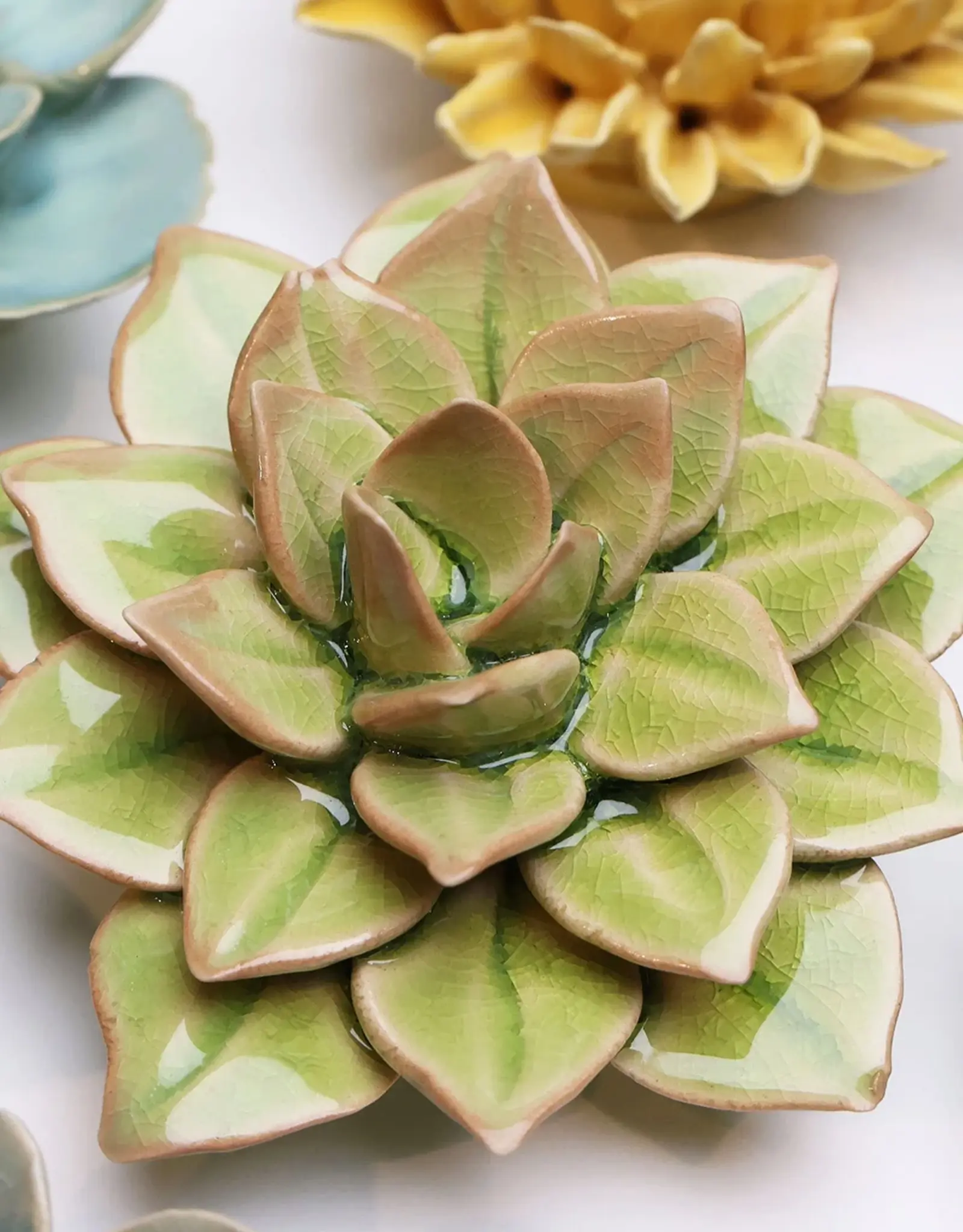 Chive Ceramic Flower Peridot Green Fairy Echeveria EG10
