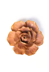 Chive Ceramic Flower Peach Pink Solar Carnation FR20