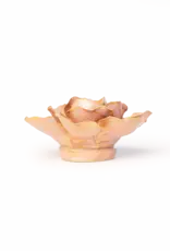 Chive Ceramic Flower Peach Pink Solar Carnation FR20