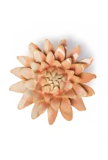 Chive Ceramic Flower Peach Pink Strawflower FR30
