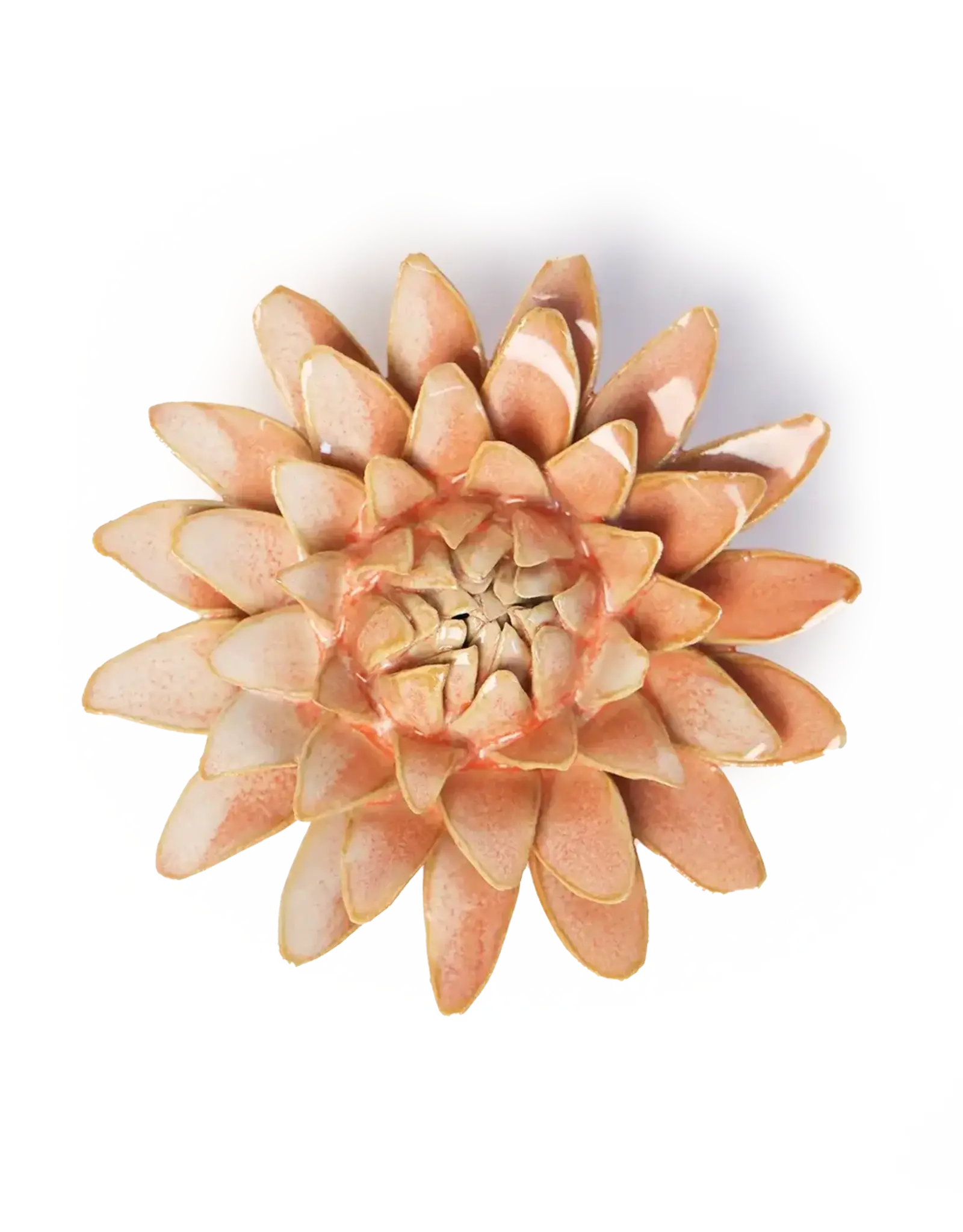 Chive Ceramic Flower Peach Pink Strawflower FR30