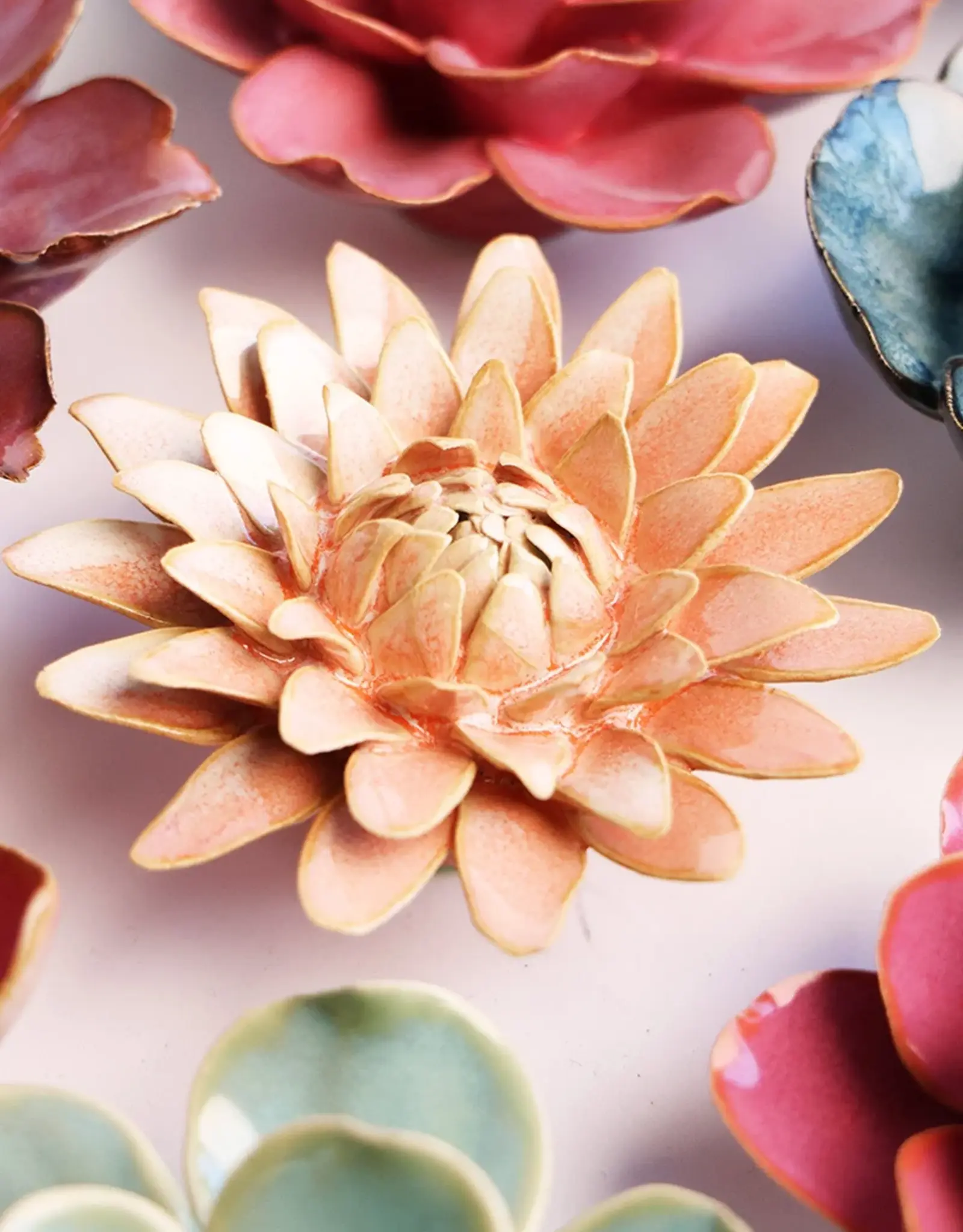 Chive Ceramic Flower Peach Pink Strawflower FR30